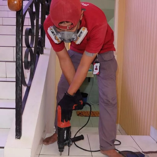 Termite Proofing Dynamic Pest Control